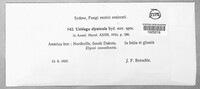 Image Associated With the Occurence